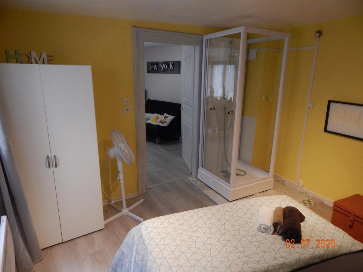 Apartament La Cigogne Blanche Colmar Zewnętrze zdjęcie